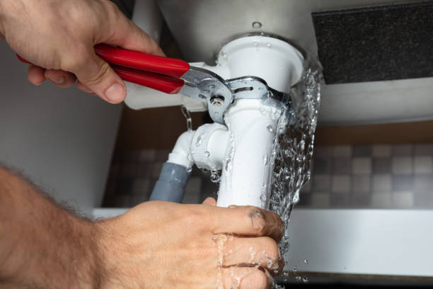 Best Residential water damage restoration  in Ridgeway, VA