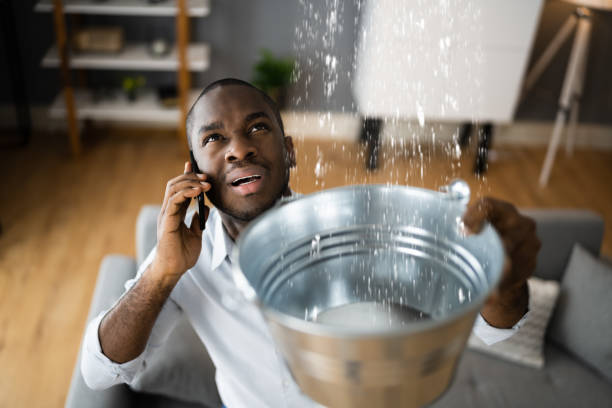 Best Water damage restoration near me  in Ridgeway, VA