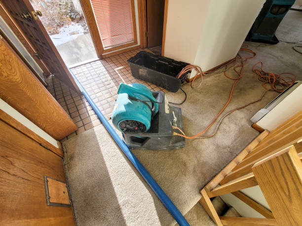 Best Basement water damage restoration  in Ridgeway, VA