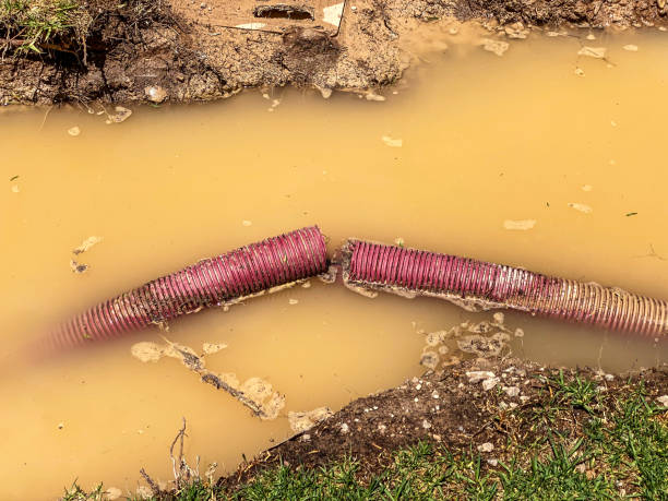 Best Commercial water damage restoration  in Ridgeway, VA