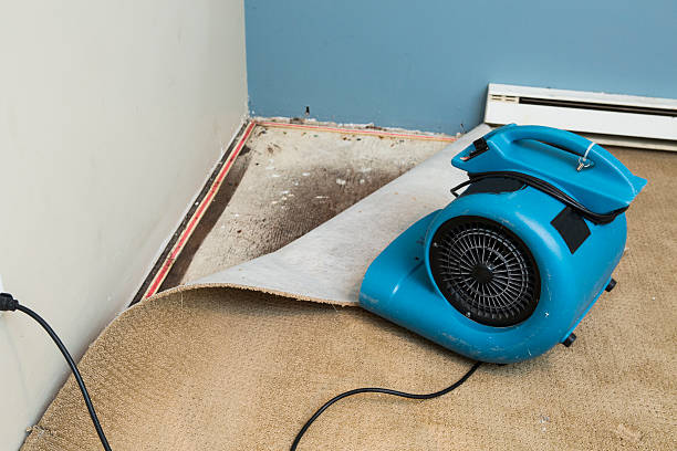 Best Emergency water damage restoration  in Ridgeway, VA