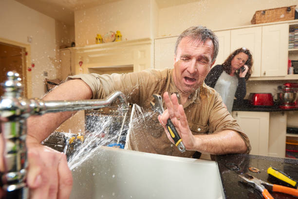 Best Flood damage cleanup  in Ridgeway, VA